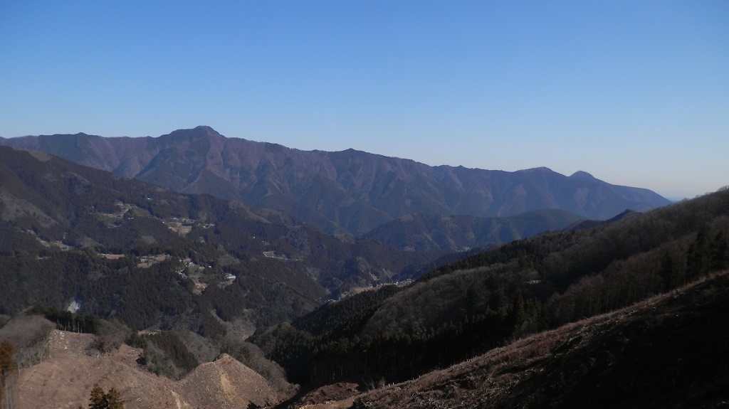 大岳山と馬頭刈尾根を望む