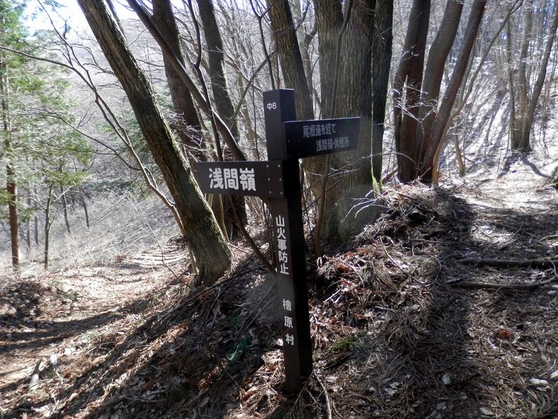この分岐では右の尾根道に進んだ