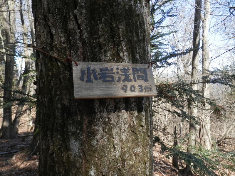 浅間嶺の山頂に到着