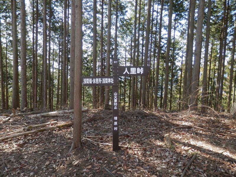 浅間嶺山頂に山頂標はなく、道標が立っている