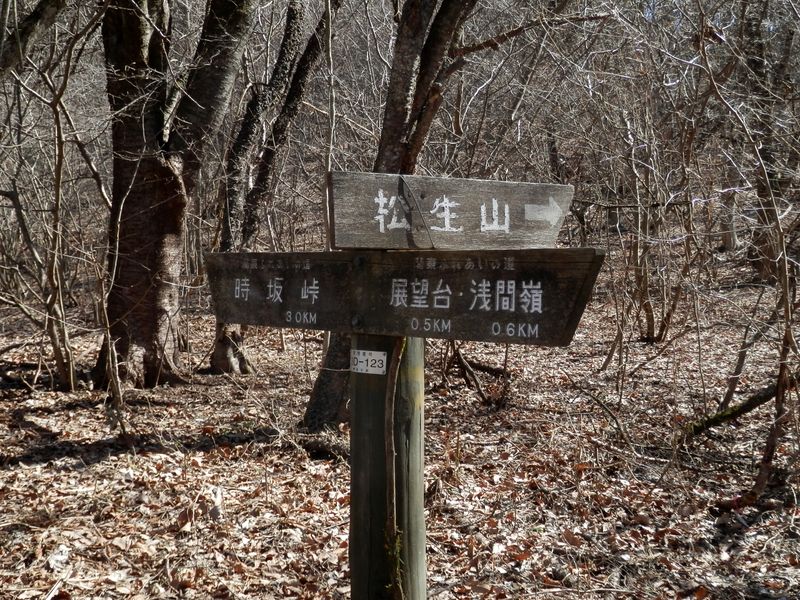 松生山には行かず、時坂峠に下る