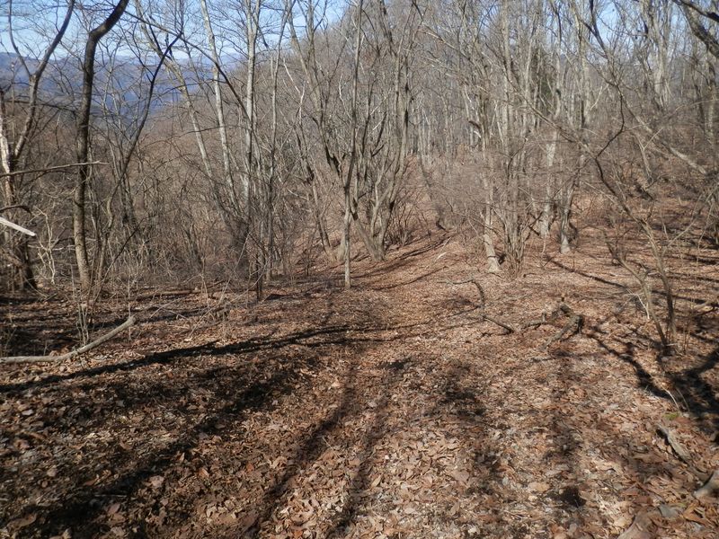 落ち葉ごとスリップする斜面