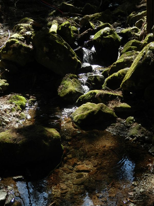 水はもう冷たくなかった