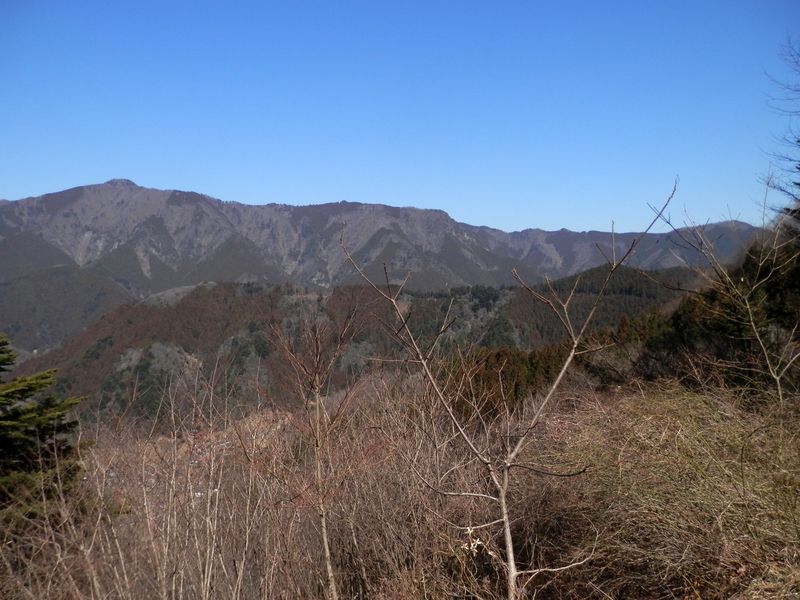 大岳山（左）と馬頭刈尾根