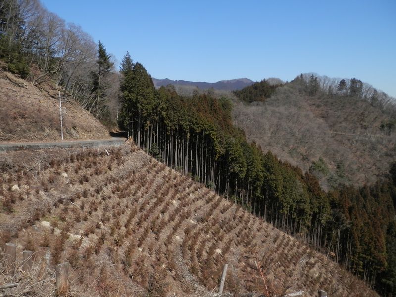 馬頭刈尾根が見える
