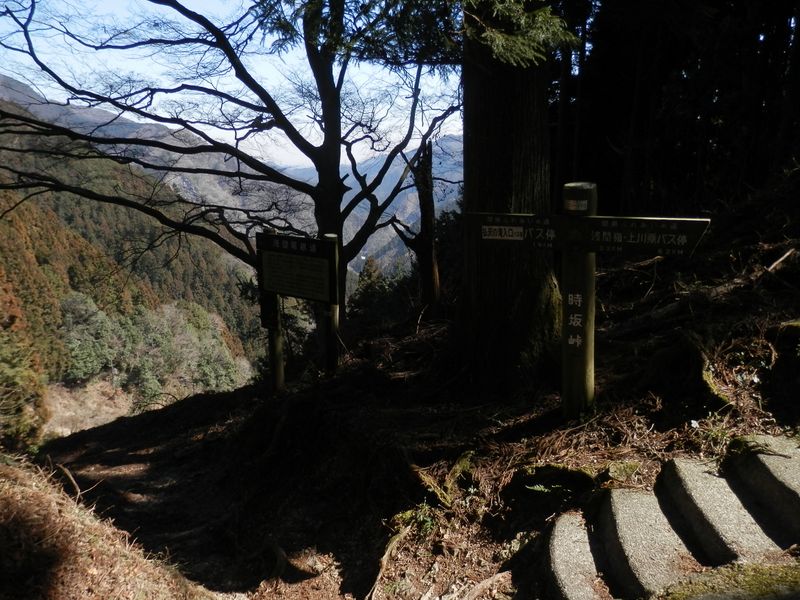 時坂峠は強い風の通り道だった