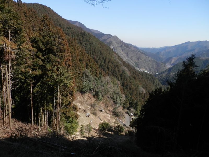 この下の集落に福寿草が咲いている