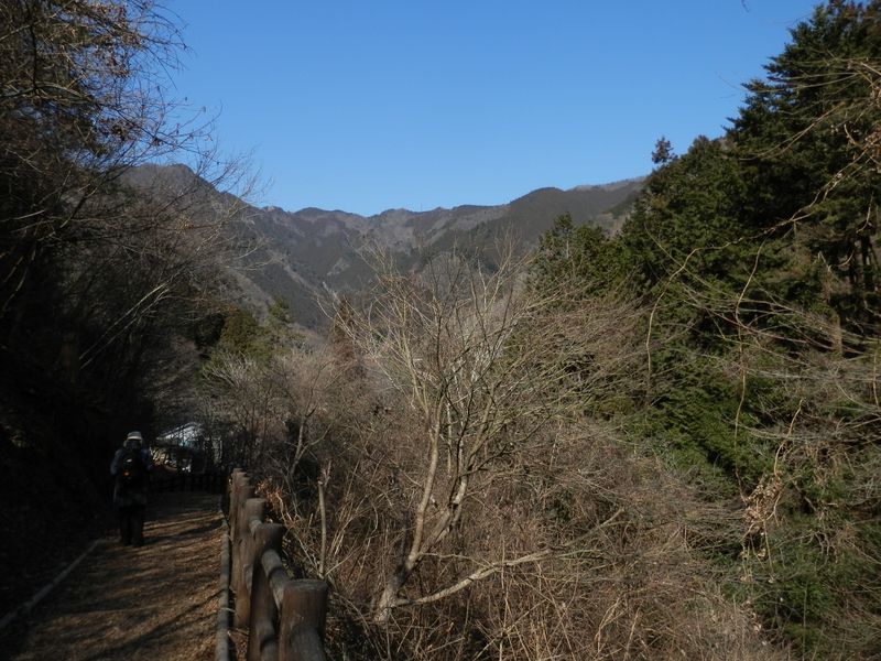 馬頭刈尾根とつづら岩を望む