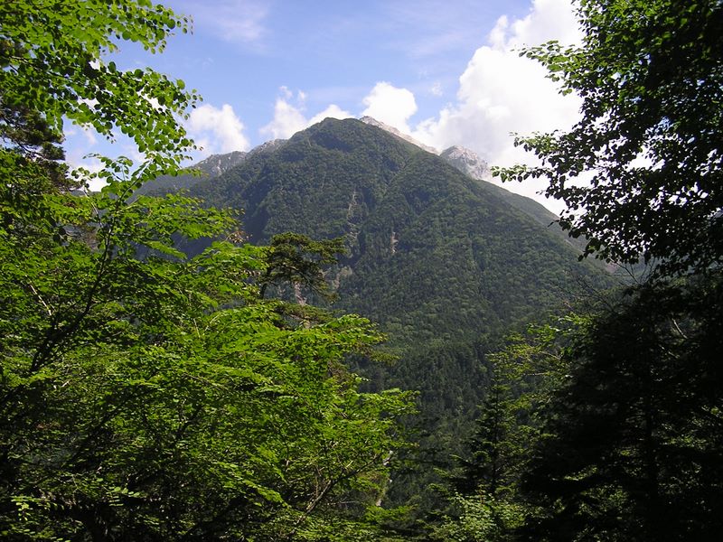 仙丈ヶ岳 -- おお、甲斐駒が見えるぞ