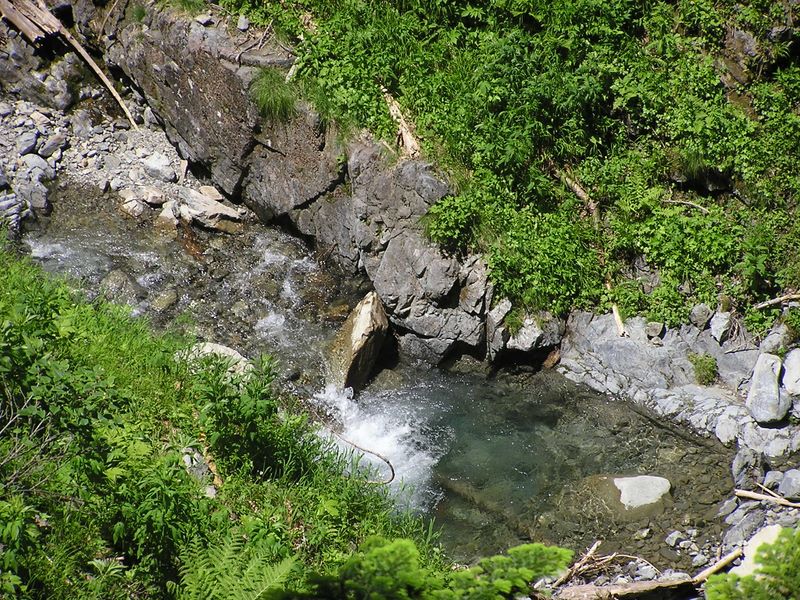仙丈ヶ岳 -- 藪沢の清流