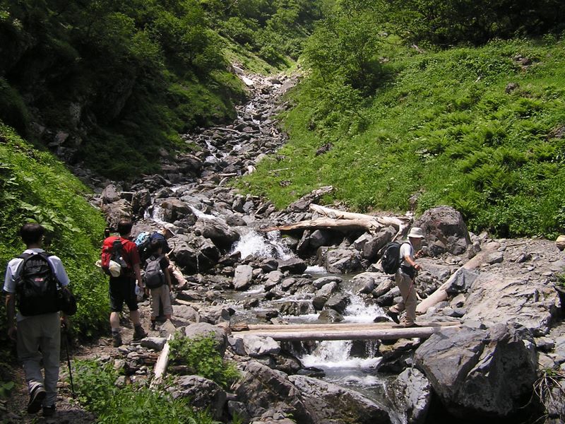 仙丈ヶ岳 -- 上流に雪が見えるぞ