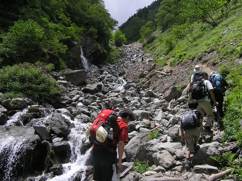 仙丈ヶ岳 -- 涼しい道