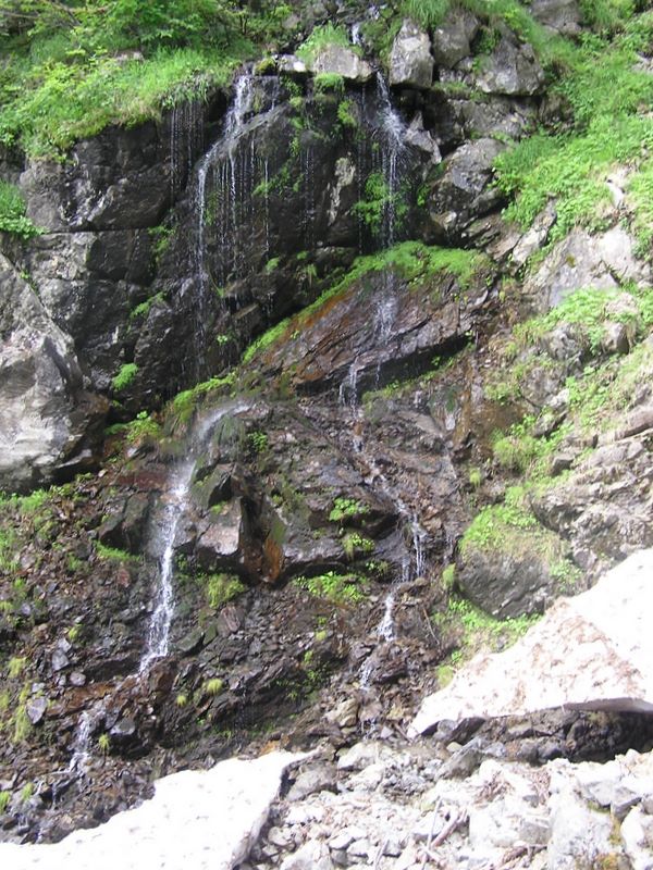 仙丈ヶ岳 -- 仙丈ヶ岳の美は繊細