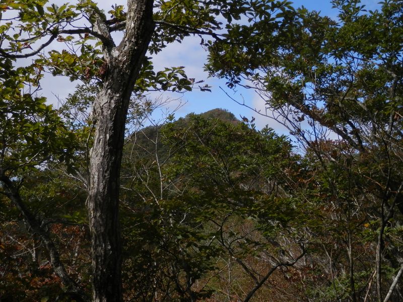 行く手に、釈迦ヶ岳の頭が見える