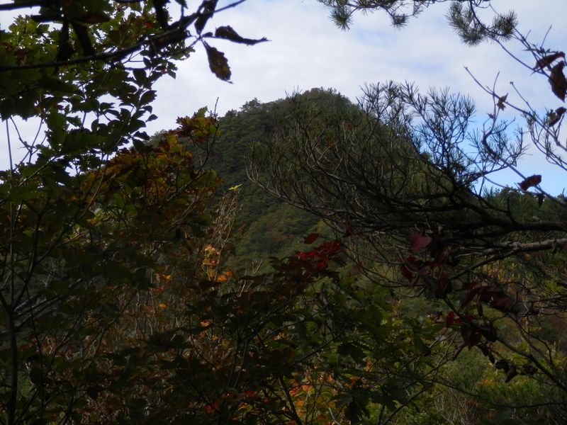 釈迦ヶ岳をきれいに望めるところ場所がない