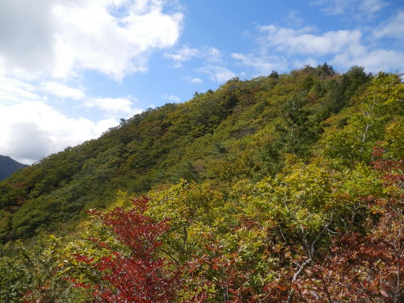 釈迦ヶ岳もうすぐ