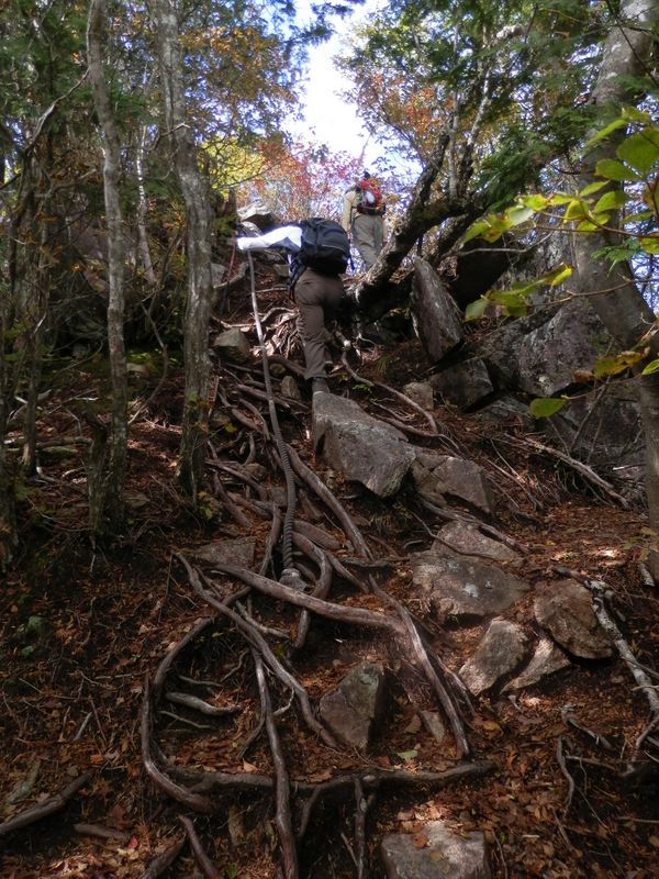 釈迦ヶ岳 -- それ行け！
