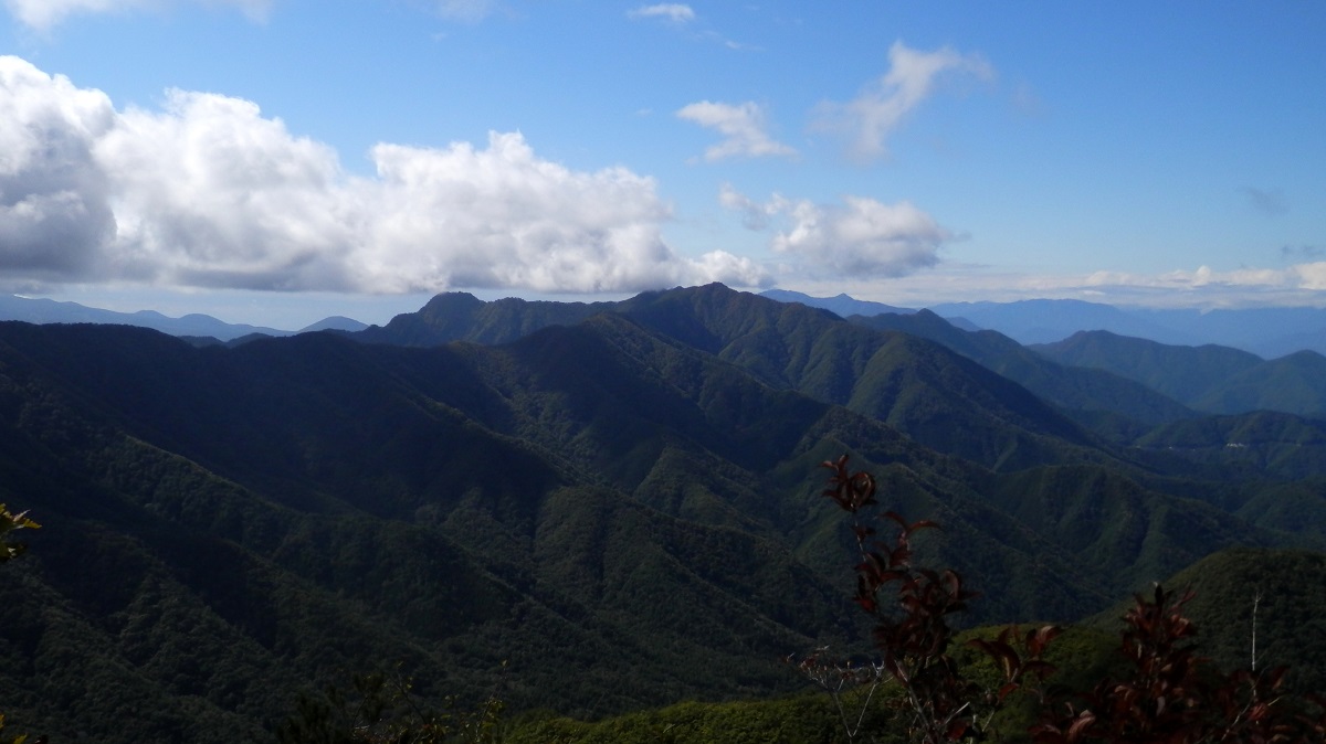十二ヶ岳、節刀ヶ岳、毛無山を望む