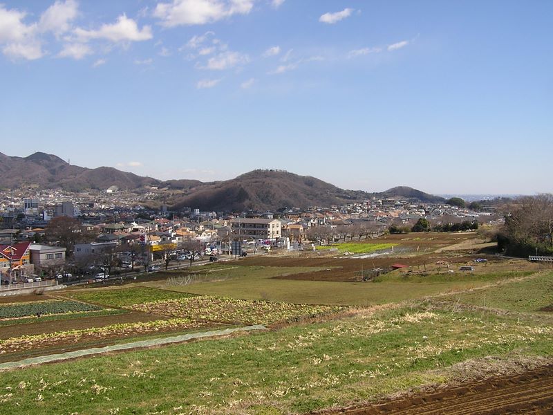 弘法山（右）と権現山（中央）