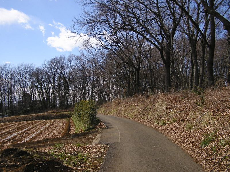 渋沢丘陵と頭高山 -- 小高い丘を上り下りする道。とても気持ちが良い