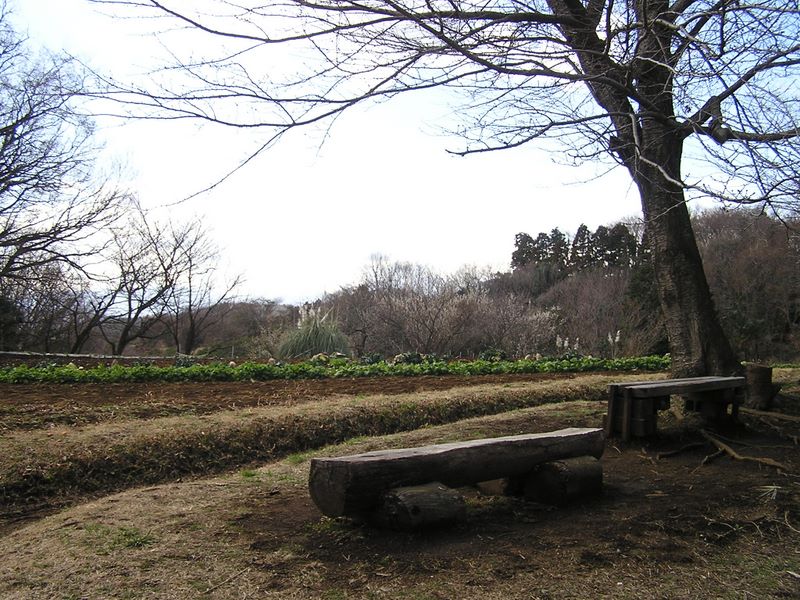 渋沢丘陵と頭高山 -- 渋沢丘陵の休憩ポイント