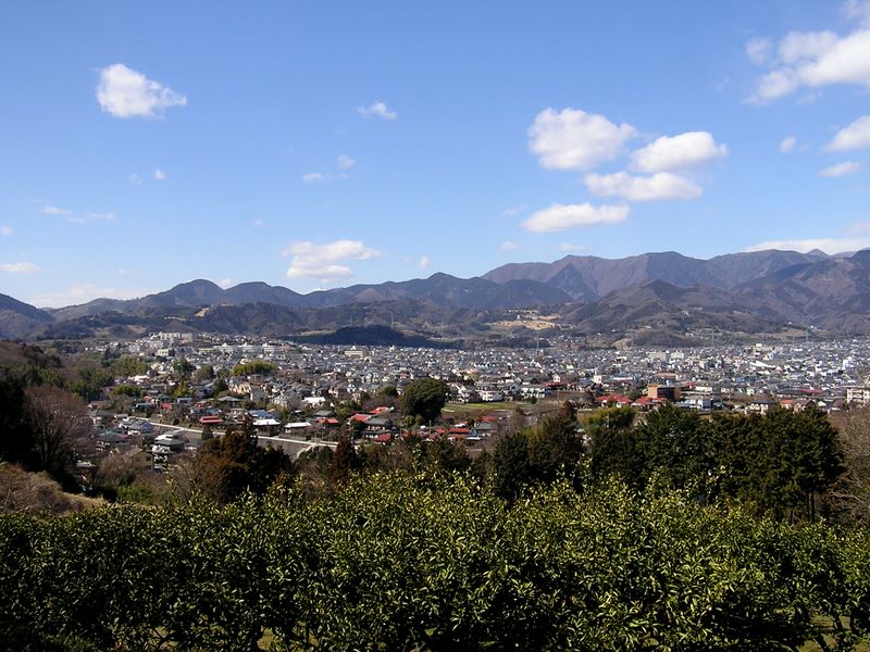 渋沢丘陵と頭高山 -- ミカン畑の向うに並ぶ西丹沢の山々