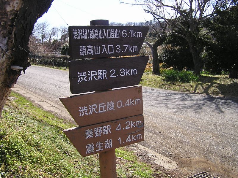渋沢丘陵と頭高山 -- 小原分岐