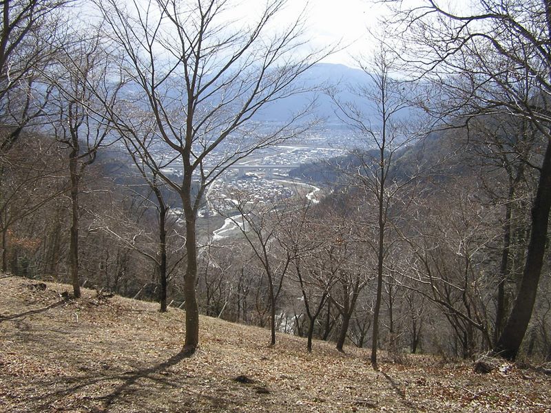 渋沢丘陵と頭高山 -- 頭高山より南西を望むと、川音川（四十八瀬川）が光っていた