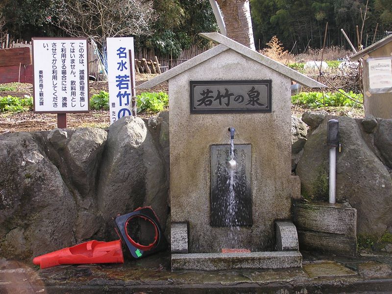 渋沢丘陵と頭高山 -- 若竹の泉