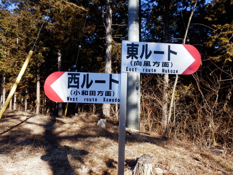 聖武連山・西ルートを下る