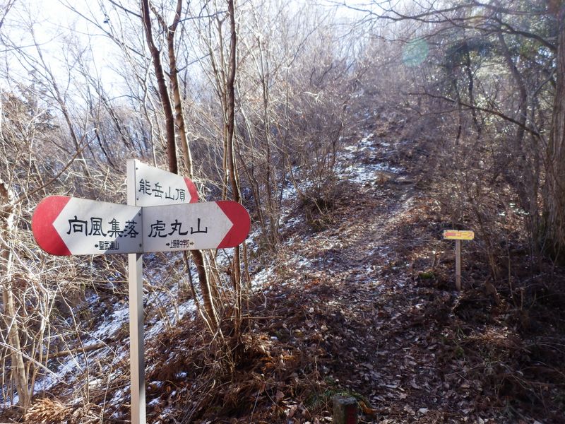 これより能岳山頂まで急登