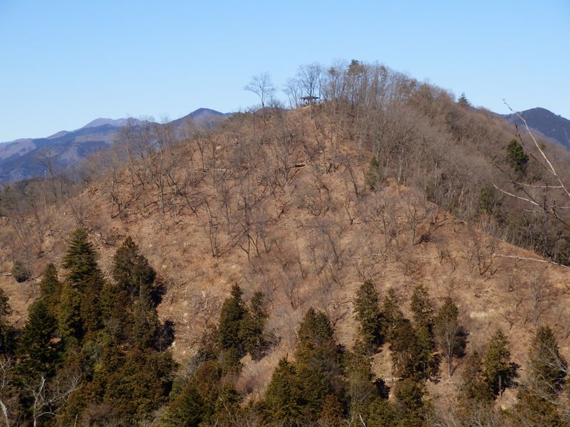 八重山の東屋を望む