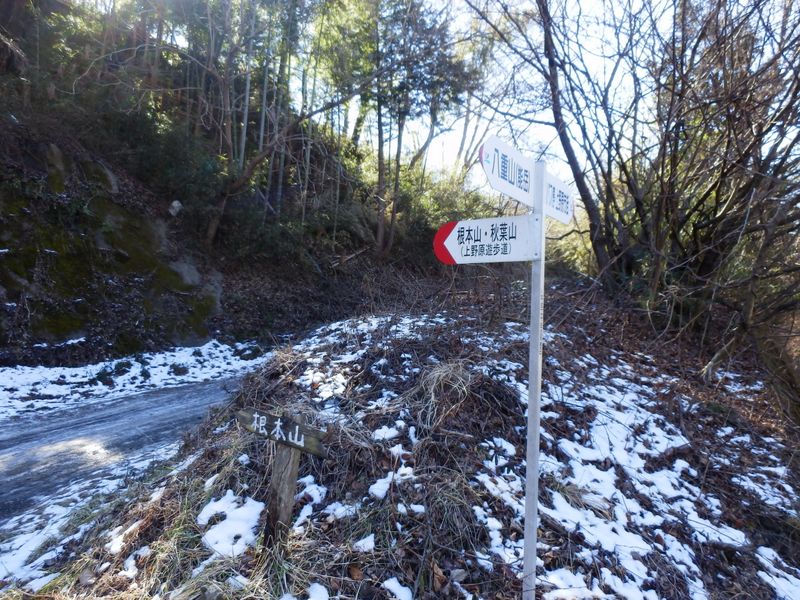 上野原遊歩道に入る