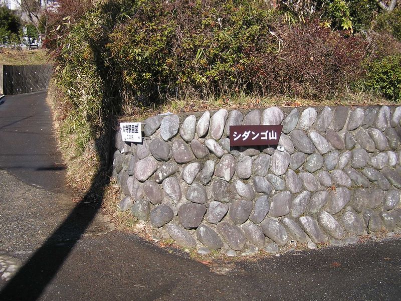 シダンゴ山 -- このような道標がたくさんある