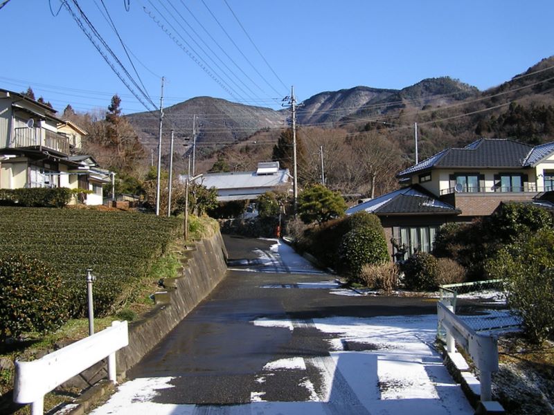 シダンゴ山 -- 昨晩降った雪が溶け始めている