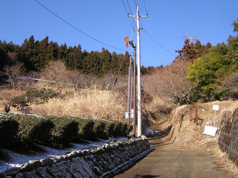 シダンゴ山 -- 道が分かれるが、私たちは、真っ直ぐ進んだ