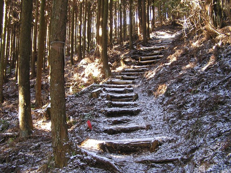 シダンゴ山 -- 新雪の階段道