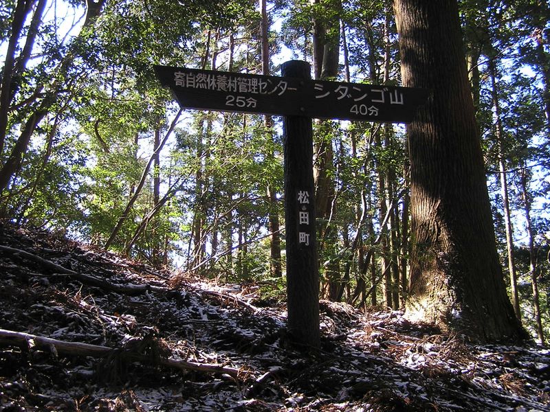 シダンゴ山 -- 山頂までの中間点