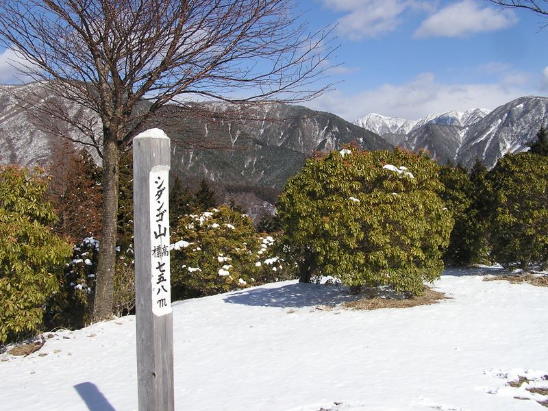 シダンゴ山頂