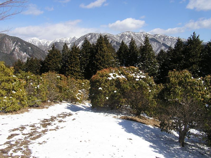 シダンゴ山頂より、蛭ヶ岳と鍋割山を望む