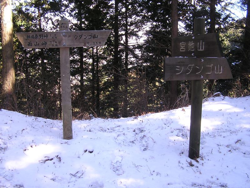 シダンゴ山 -- 林道秦野峠への分岐
