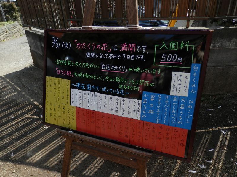 城山かたくりの里で、現在咲いている花