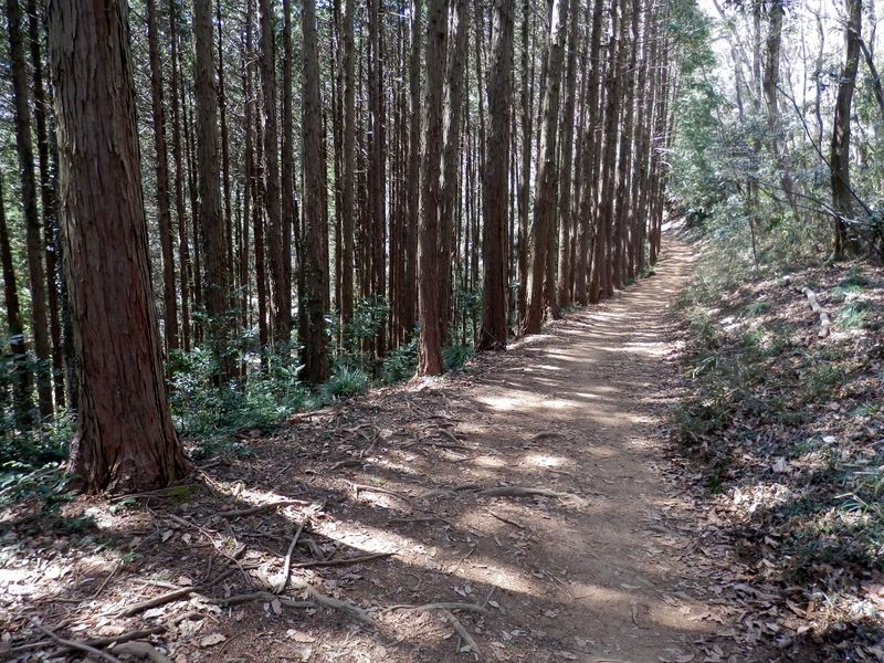 小松ハイキングコース