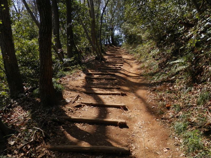 小松ハイキングコースは、アップダウンが緩やか