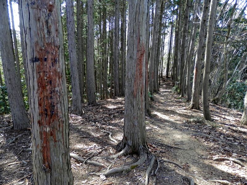 悪質な落書きが全部消されていた