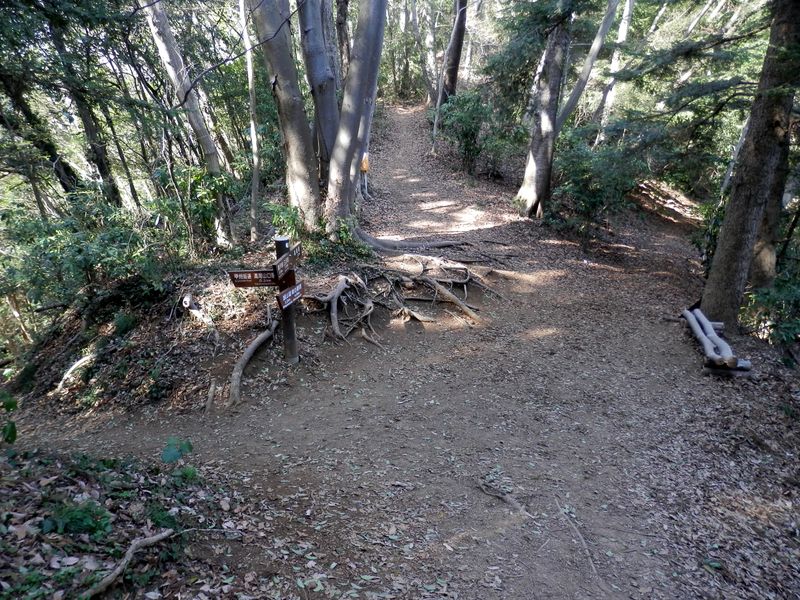 四辻を直進して、高尾駅を目指す