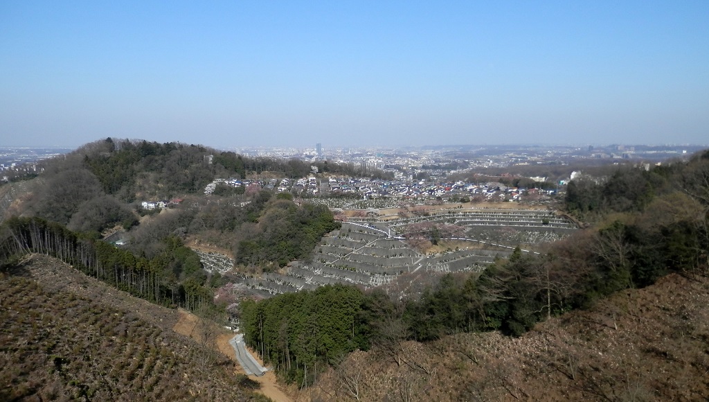 伐採地の上からの眺望