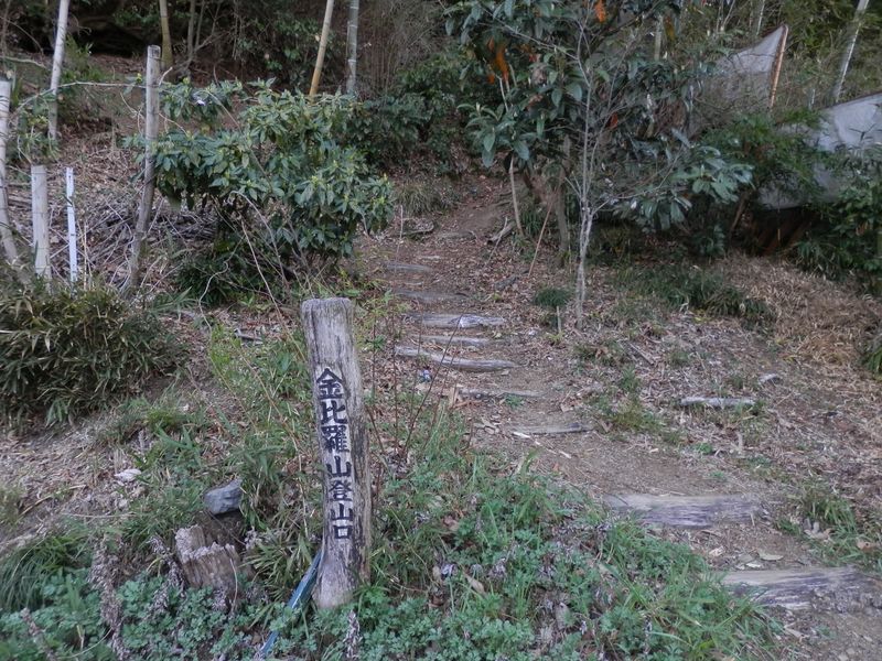 ここに下りて来て、山道は終了