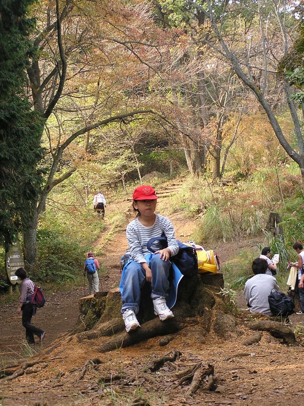 高尾山から城山 -- 一丁平休憩所で