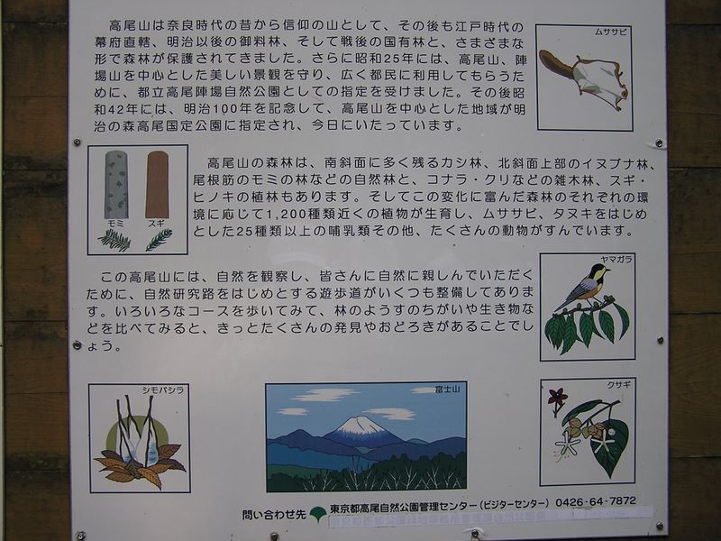 高尾山から城山 -- 休日は人が多すぎて